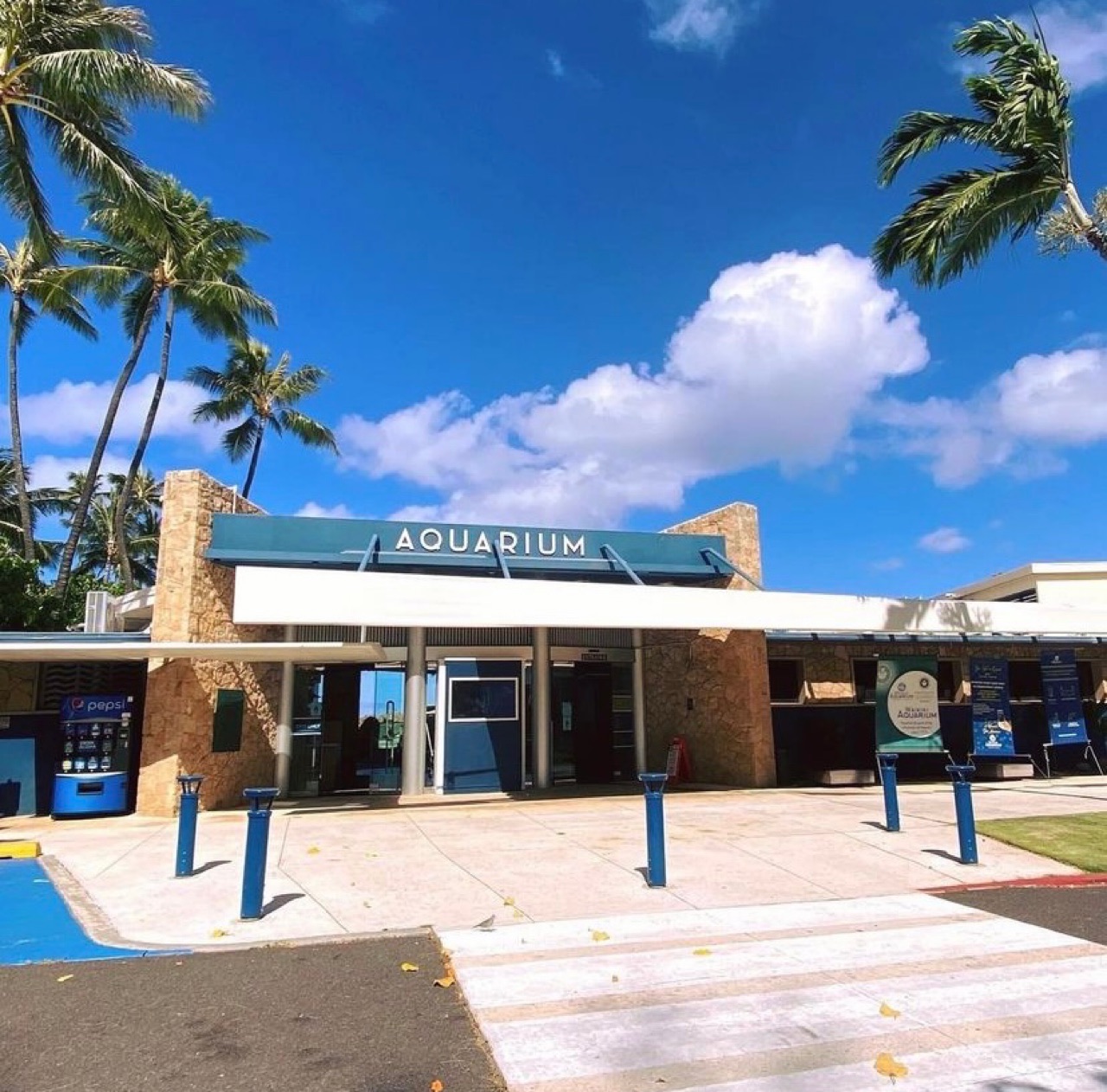 ワイキキ水族館
