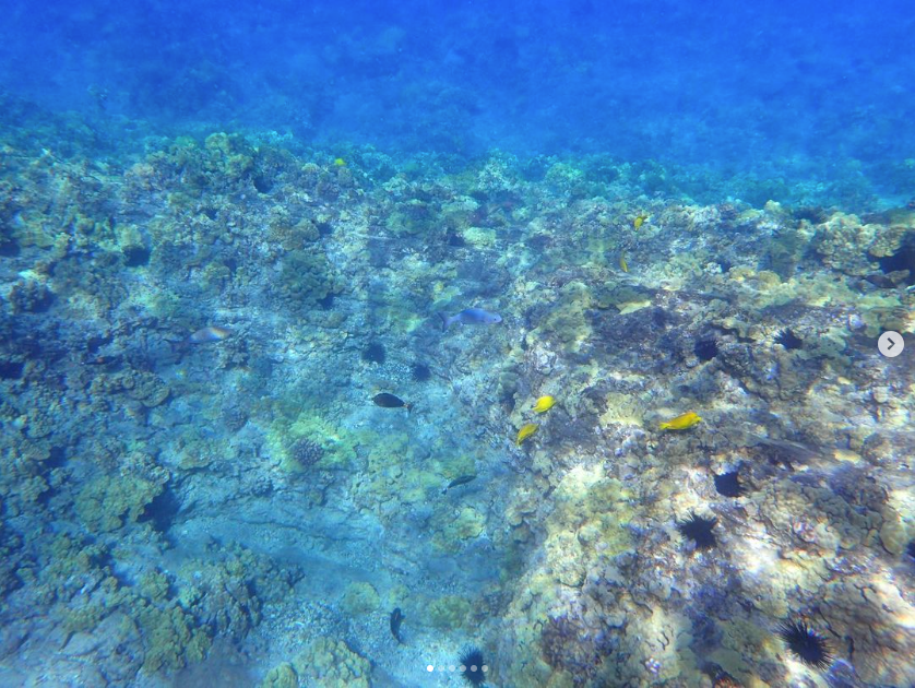 マウイ島 モロキニ島