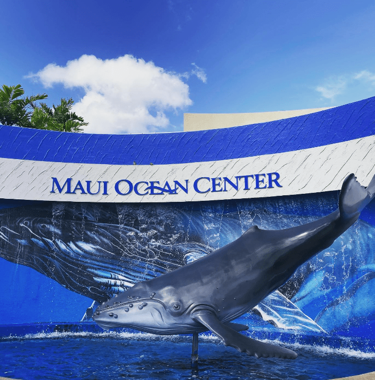マウイ島 マウイ オーシャン センター